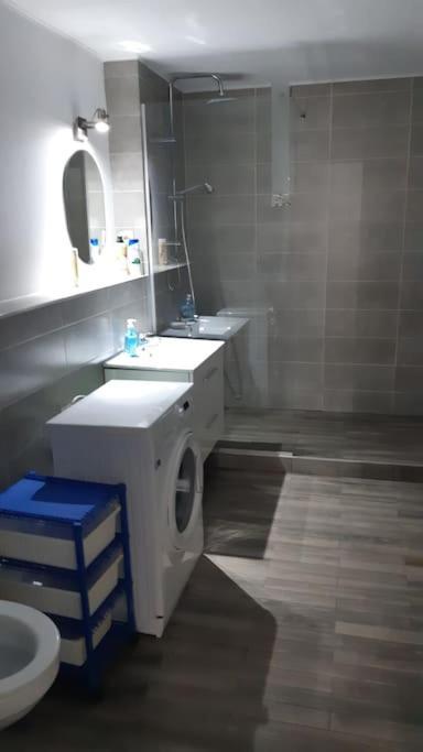 Buna Ziua Apartment Tonitza Nic. 克卢日-纳波卡 外观 照片